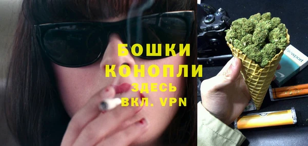 твердый Богданович