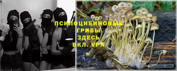твердый Богданович