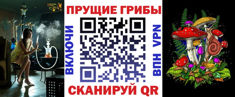 Псилоцибиновые грибы Cubensis  Минусинск 